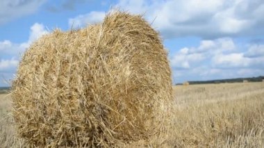 Yuvarlak balya saman çayır