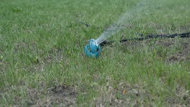 Automatisk sprinkler bevattning gräs — Stockvideo