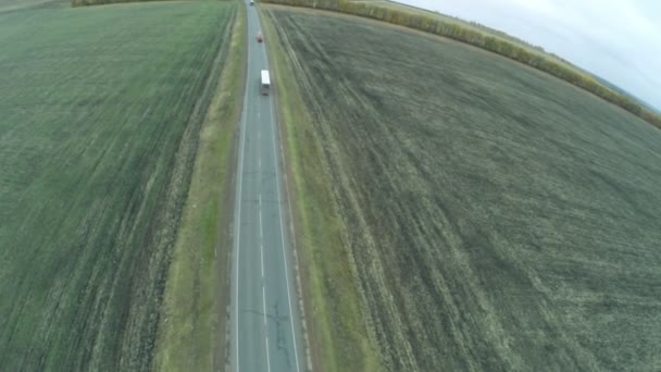 Vedere aeriană. Drumuri de lichidare, autostradă în toamnă. Autostrada M7 "Volga" Moscova - Ufa, Rusia (E 22 ) — Videoclip de stoc