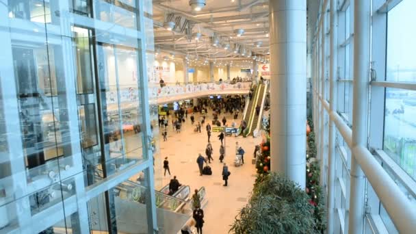 MOSCÚ, RUSIA-25 de enero de 2014: Aeropuerto internacional de Domodedovo. Tráfico significativo de pasajeros en medio de la temporada navideña — Vídeos de Stock