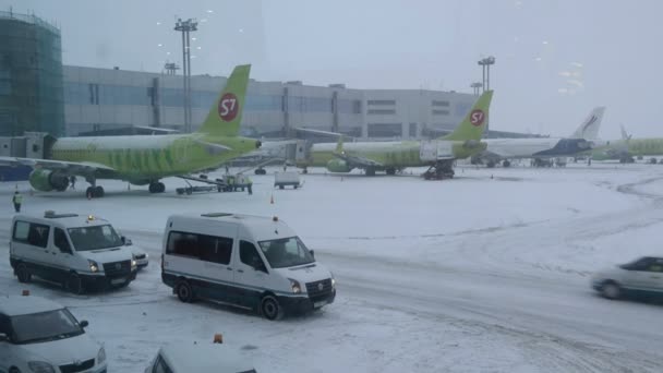 Moskva, Ryssland-25 januari 2014: Domodedovo internationella flygplats. Flygfältet, snö — Stockvideo