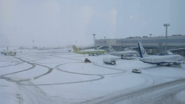 モスクワ、ロシア-2014年1月25日:ドモジェドヴォ国際空港。飛行場、雪 — ストック動画