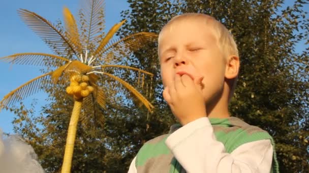 Маленький блондинка їсть бавовняні цукерки — стокове відео