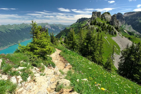 Alpen — Stockfoto