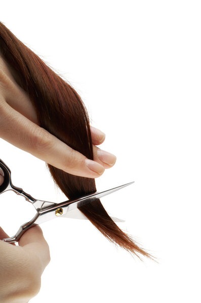 Обрезание волос на белом
