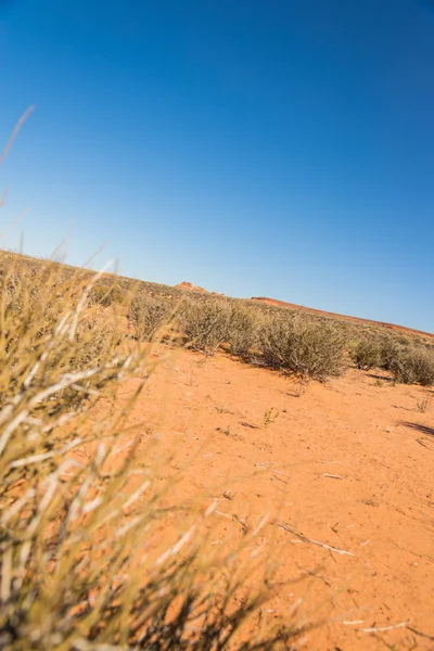 Krajinné scény louka v poušti — Stock fotografie