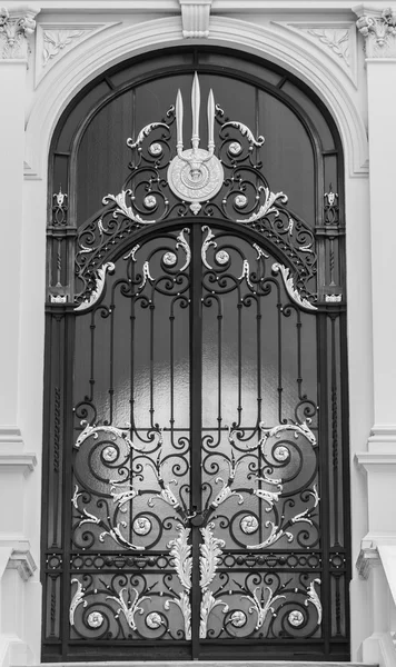 Schwarz-weiße Ansicht einer klassischen Stahltür im europäischen Stil — Stockfoto