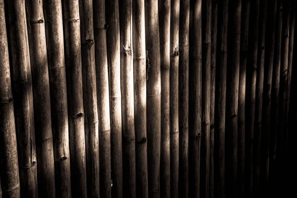 Parede Bambu Com Raio Luz Solar Tema Escuro Para Design — Fotografia de Stock