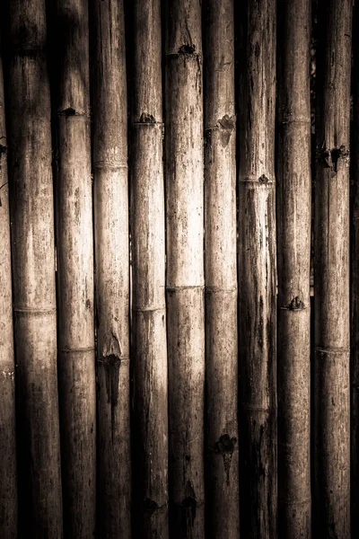 Bamboe Muur Met Zonlicht Straal Donker Thema Voor Achtergrond Concept — Stockfoto
