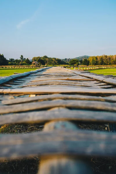 Selektivní Zaměření Dřevěný Bambusový Most Přes Pole Zelené Rýže Krajina — Stock fotografie
