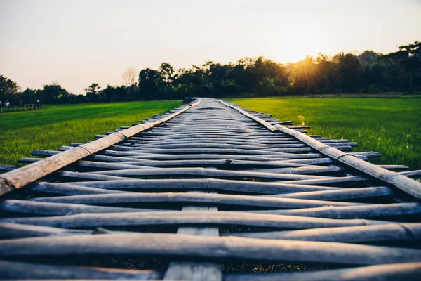 Focus Sélectif Sur Pont Chemin Bambou Bois Étendant Dans Campagne — Photo