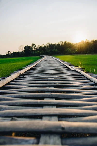 Focus Sélectif Sur Pont Chemin Bambou Bois Étendant Dans Campagne — Photo