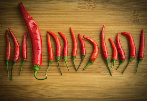 A big Red chilli pepper in small Red chilli pepper on chopping b — Stock Photo, Image