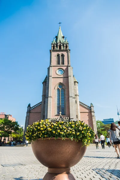 Myeong dong Catholic Cathedral in Seoul