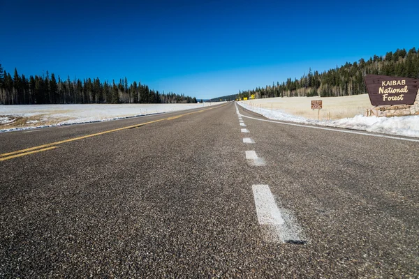 Estrada para Kaibab Floresta nacional em Grand canyon — Fotografia de Stock