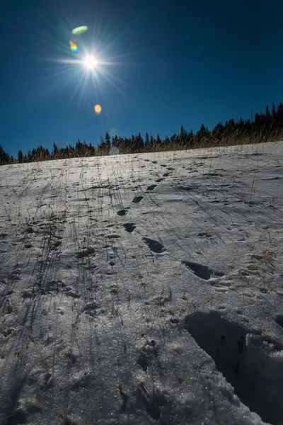 Footprint on snow  and blue sky with Sun flare — Stock Photo, Image