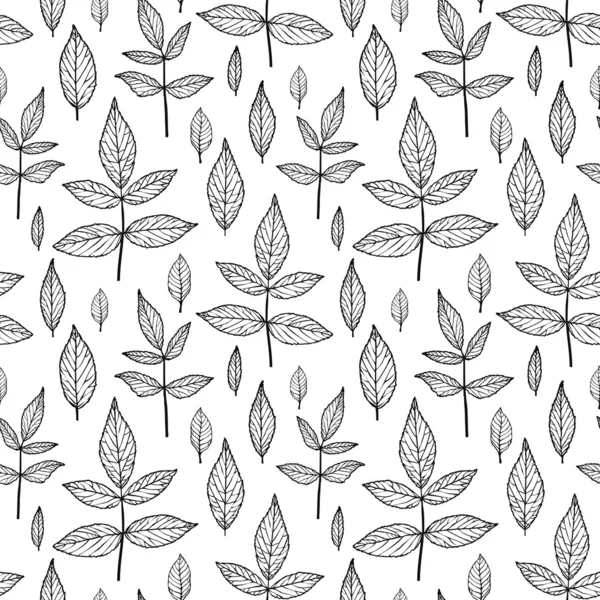 Leaves seamless pattern in black and white — Stock Vector