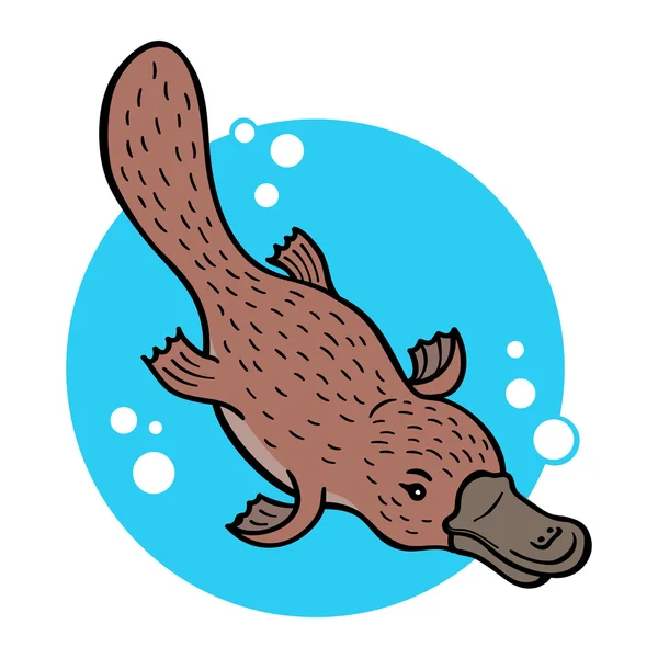 Cartoon platypus — Stock vektor