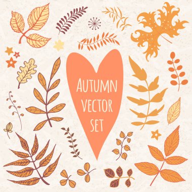 Sonbahar yaprakları set vektör