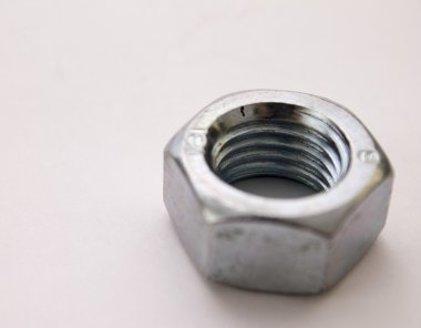 Beyaz arkaplanda fındık