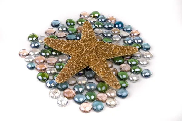 Pedras de estrelas-do-mar — Fotografia de Stock