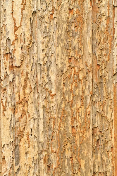Стара деревина — стокове фото