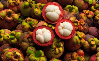 Mangosteen
