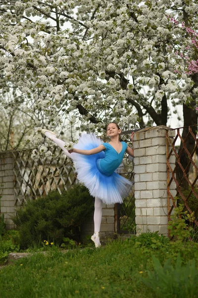 Balerina Pointe Cipőben Balett Tutu Parkban Balett Pozíciók Gyönyörű Gyermek — Stock Fotó