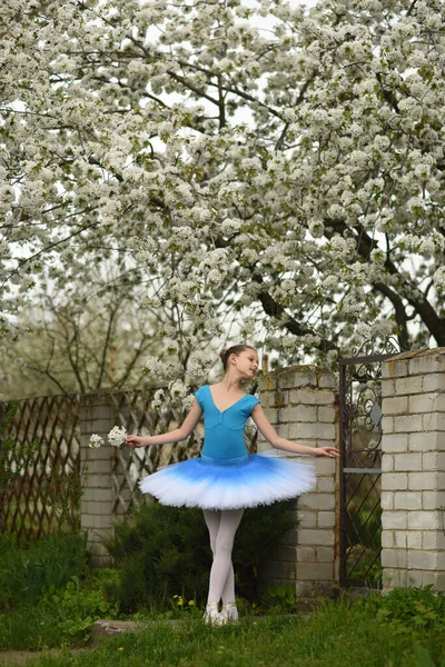 Jovem Bailarina Menina Perto Árvores Florescendo Primavera — Fotografia de Stock