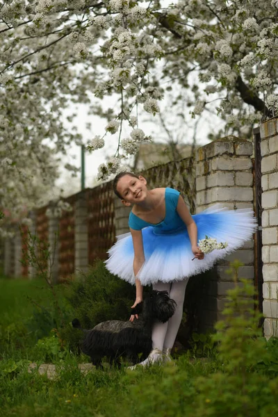 Jovem Bailarina Menina Citar Pouco Cão Perto Árvore Florescendo Primavera — Fotografia de Stock