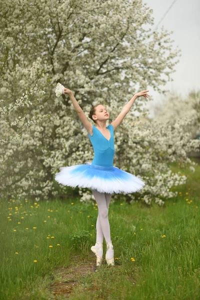 Bailarina Sapatos Pontiagudos Tutu Balé Parque Posições Ballet Bela Criança — Fotografia de Stock