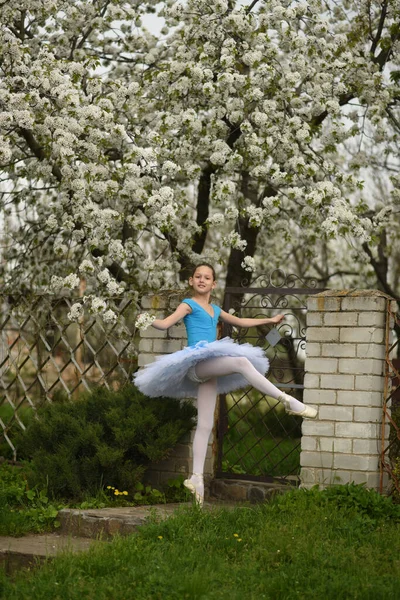 Bailarina Sapatos Pontiagudos Tutu Balé Parque Posições Ballet Bela Criança — Fotografia de Stock