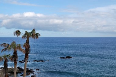 avuç içi ile okyanus görmek