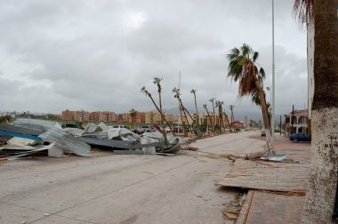 yol bozuk palms bir sürü