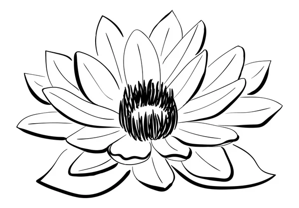 Vektor-fekete-fehér lótusz virág — Stock Vector