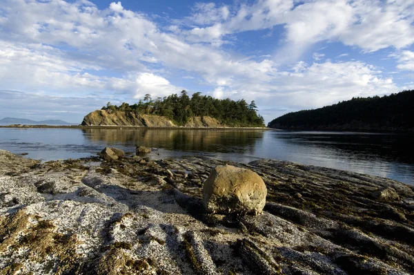 Pacific northwest manhã de verão Fotos De Bancos De Imagens Sem Royalties