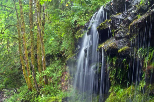 Prachtige groene waterval — Stockfoto