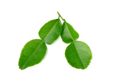 Kaffir kireç yaprakları beyaz arkaplanda izole
