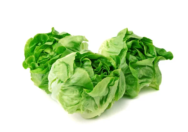 Yeşil tereyağlı marul sebze veya tereyağı kafası beyaz arka planda izole edilmiş.