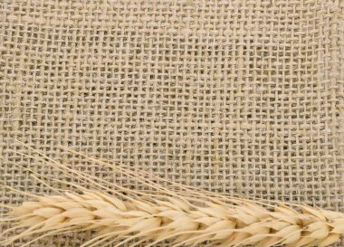 Çuval çuvalı arka planı ve dokusu