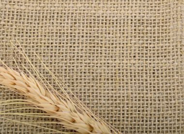 Çuval çuvalı arka planı ve dokusu