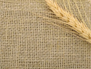 Çuval çuvalı arka planı ve dokusu