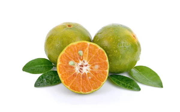 taze portakal meyvesi ve beyaz izinler.