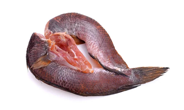 Kurumuş çizgili yılan başlı balık beyaz arka planda izole edilmiş.