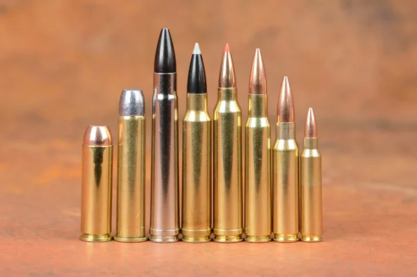 500 sw, 45-70 Govt, 375 H & H, 338 Win Mag, 300 Win Mag, 30-06, 308 győzelem, 223 Rem Stock Kép