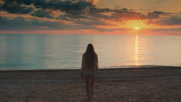 Woman with long hair walking to the sea and raising her hands up — Stock Video