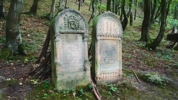 Two tombstones in old cemetery — Stock Video