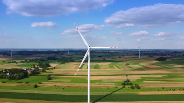 Parque eólico de muchos molinos de viento de drones — Vídeos de Stock