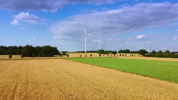 Big windmills from drone in summer — Stock Video
