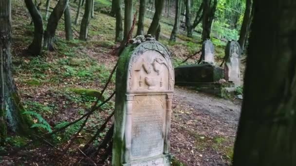 Old cemetery with Jewish tombstones — Stock Video